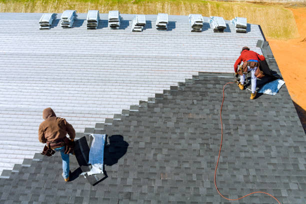 Best Roof Insulation Installation  in Cahokia, IL